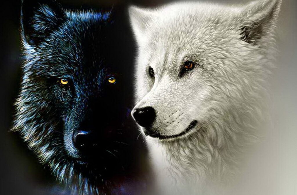 The Tale of Two Wolves